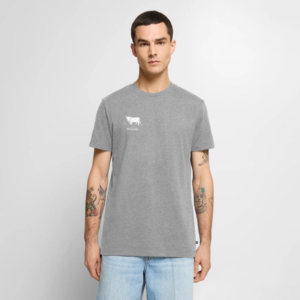 Männer Premium T-Shirt | Untere Ochsenalpe - Grau meliert