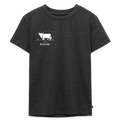 Kinder Premium T-Shirt | Untere Ochsenalpe - Anthrazit meliert