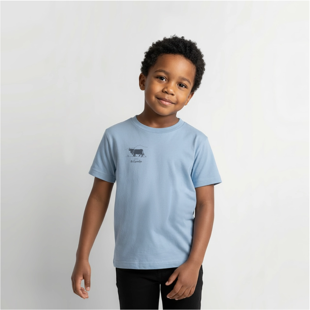 Kinder Premium T-Shirt | Untere Ochsenalpe - Hellblau